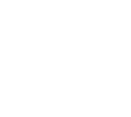 Car Protection